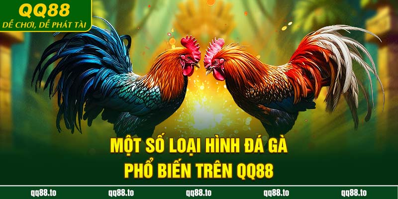 Một số loại hình đá gà phổ biến trên QQ88